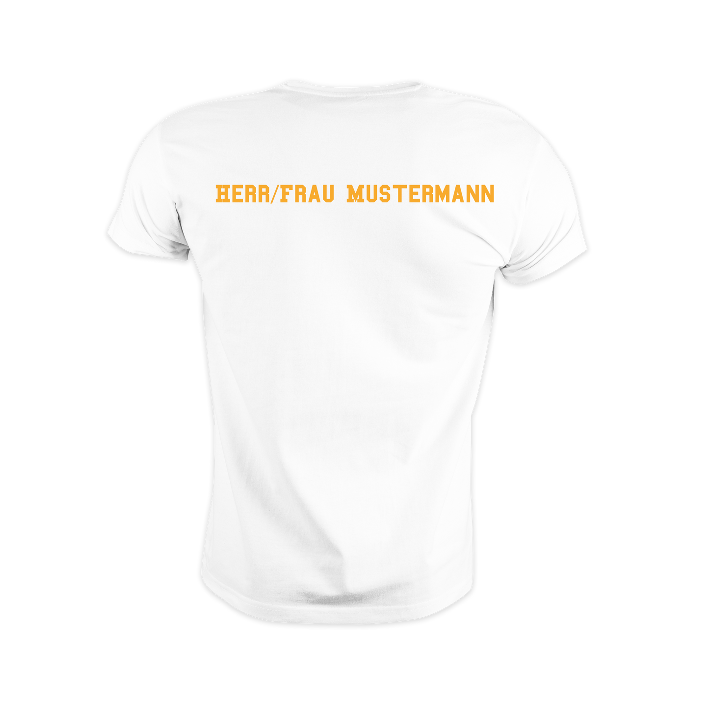 "Leibniz IGS" T-Shirt